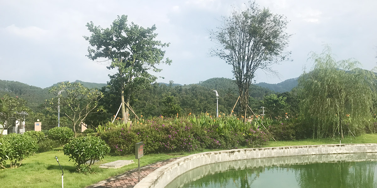 云勇生態(tài)公園園林綠化養(yǎng)護服務項目案例