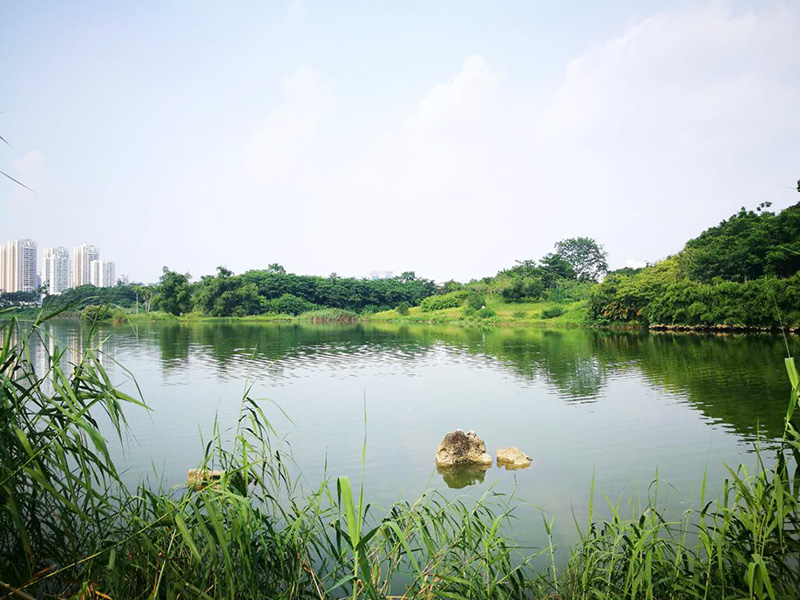 公園園林綠化