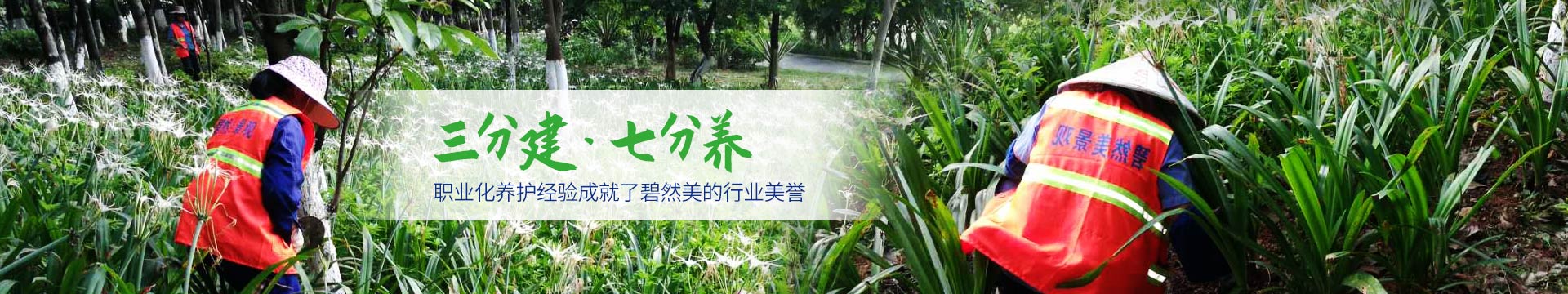 碧然美-園林綠化養(yǎng)護